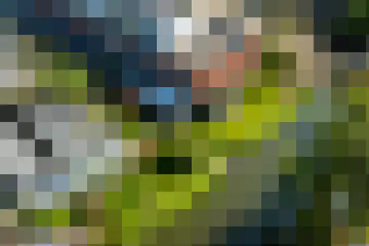 Anne Vondelingplantsoen 18 Naaldwijk thumbnail 59