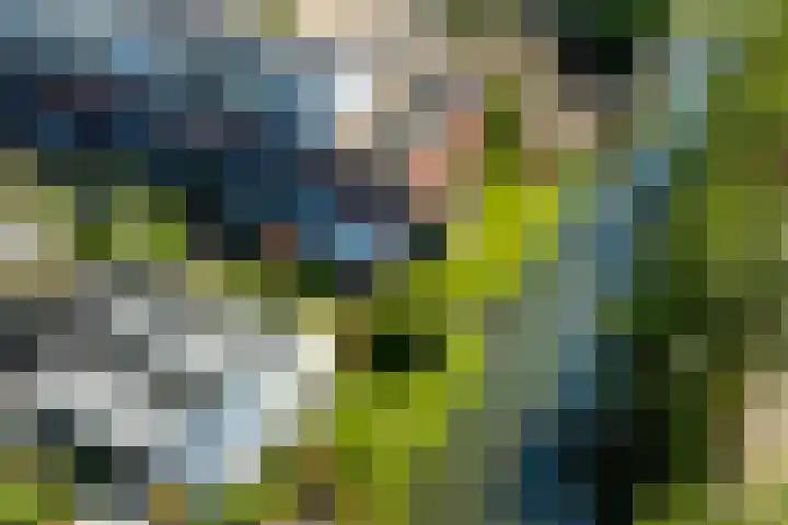 Anne Vondelingplantsoen 18 Naaldwijk thumbnail 60