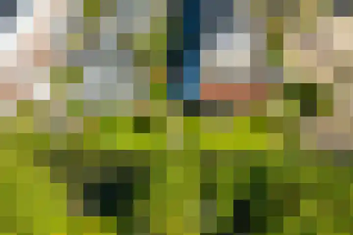 Anne Vondelingplantsoen 18 Naaldwijk thumbnail 61