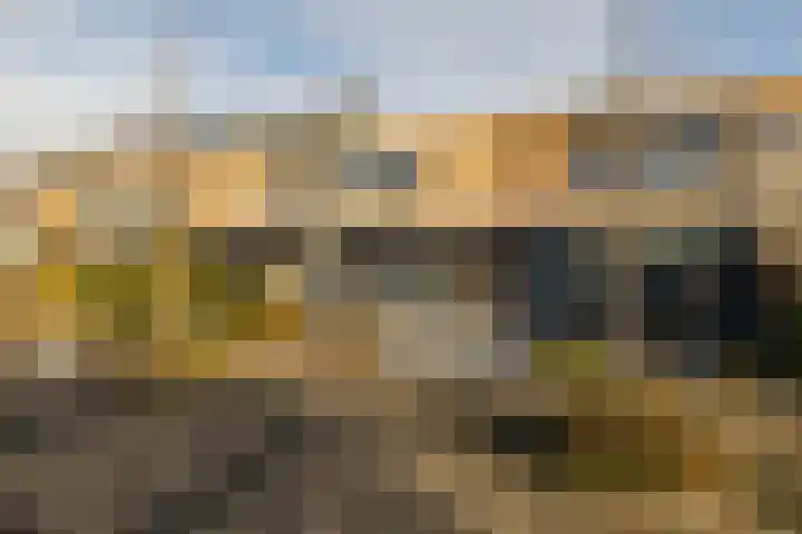 Anne Vondelingplantsoen 19 Naaldwijk thumbnail 33