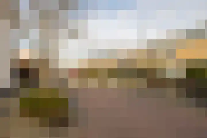 Anne Vondelingplantsoen 19 Naaldwijk thumbnail 35