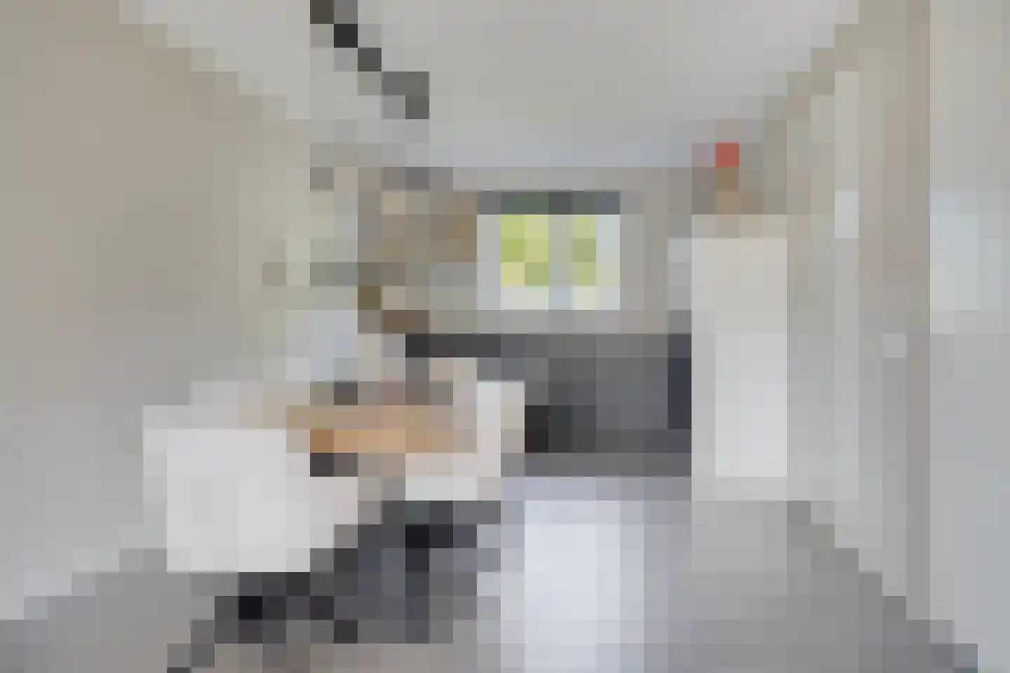Anne Vondelingstraat 1 A Appelscha thumbnail 15