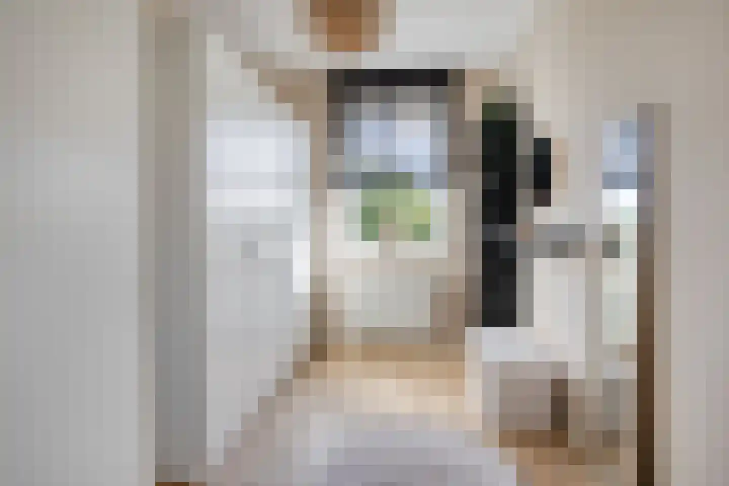 Anne Vondelingstraat 1 A Appelscha thumbnail 26