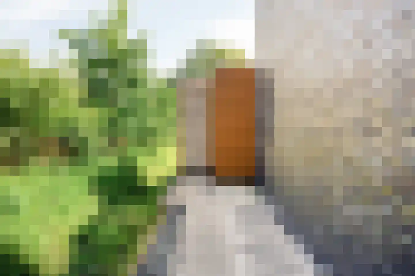 Anne Vondelingstraat 1 A Appelscha thumbnail 42