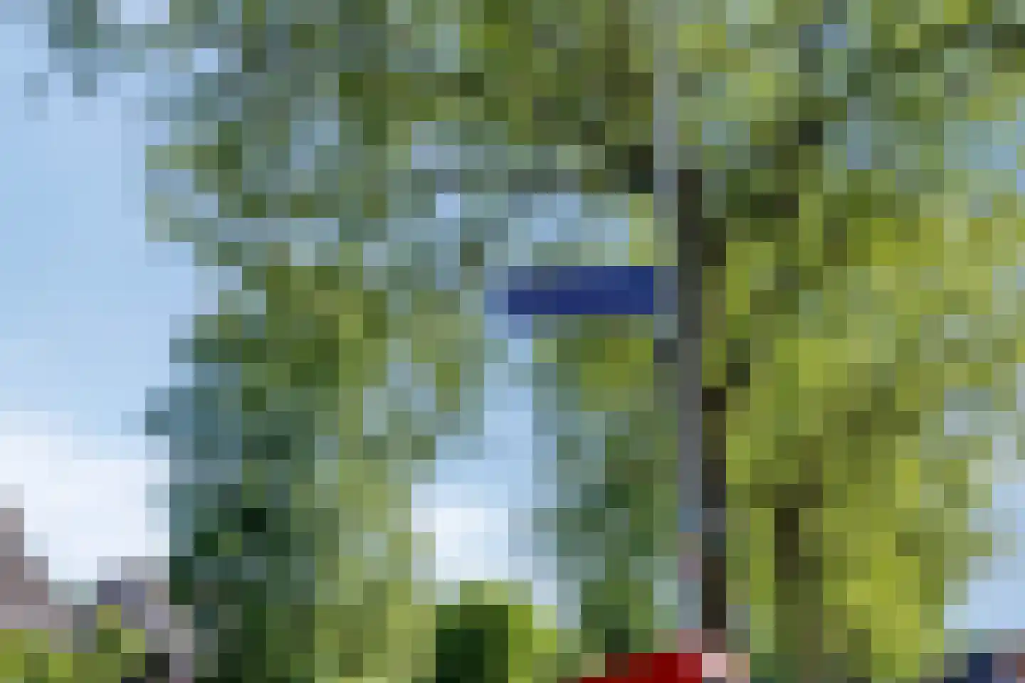 Anne Vondelingstraat 1 A Appelscha thumbnail 46
