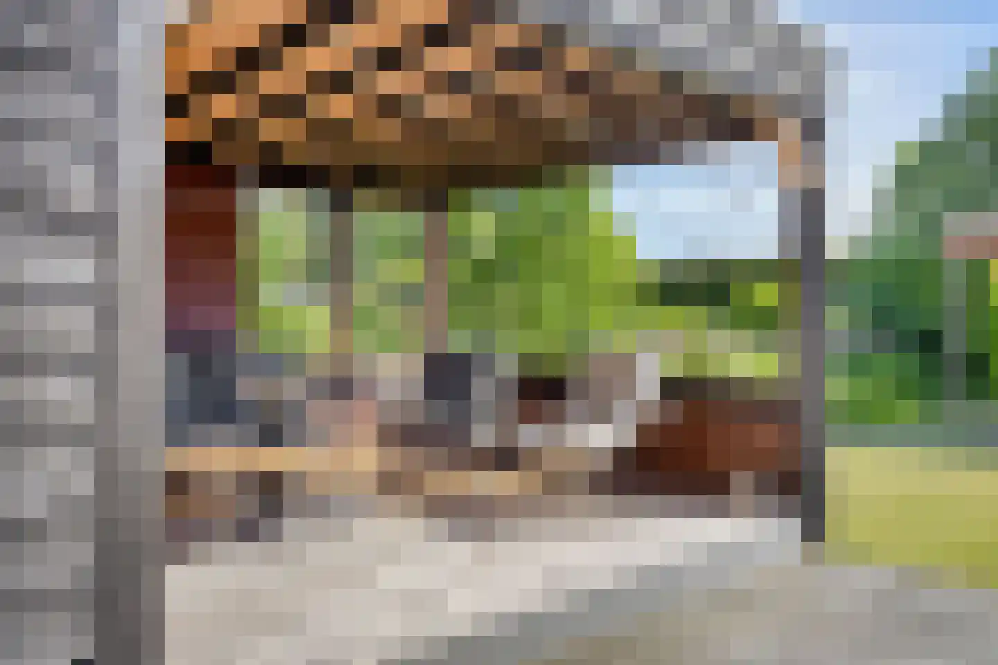 Anne Vondelingstraat 1 A Appelscha thumbnail 5