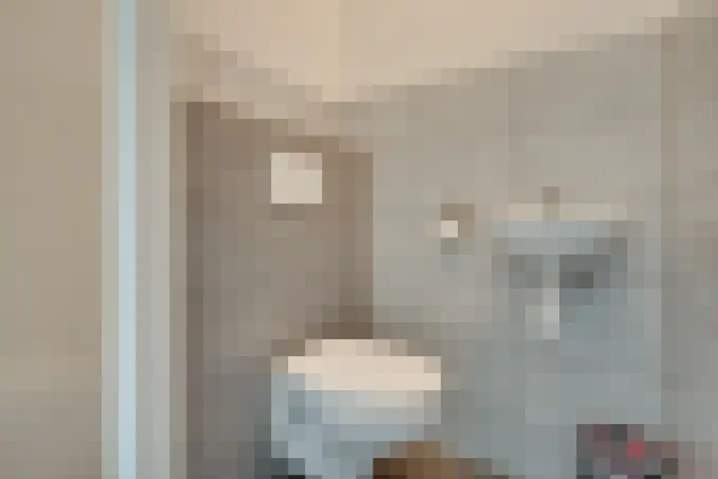 Anne Vondelingstraat 1 K Appelscha thumbnail 25