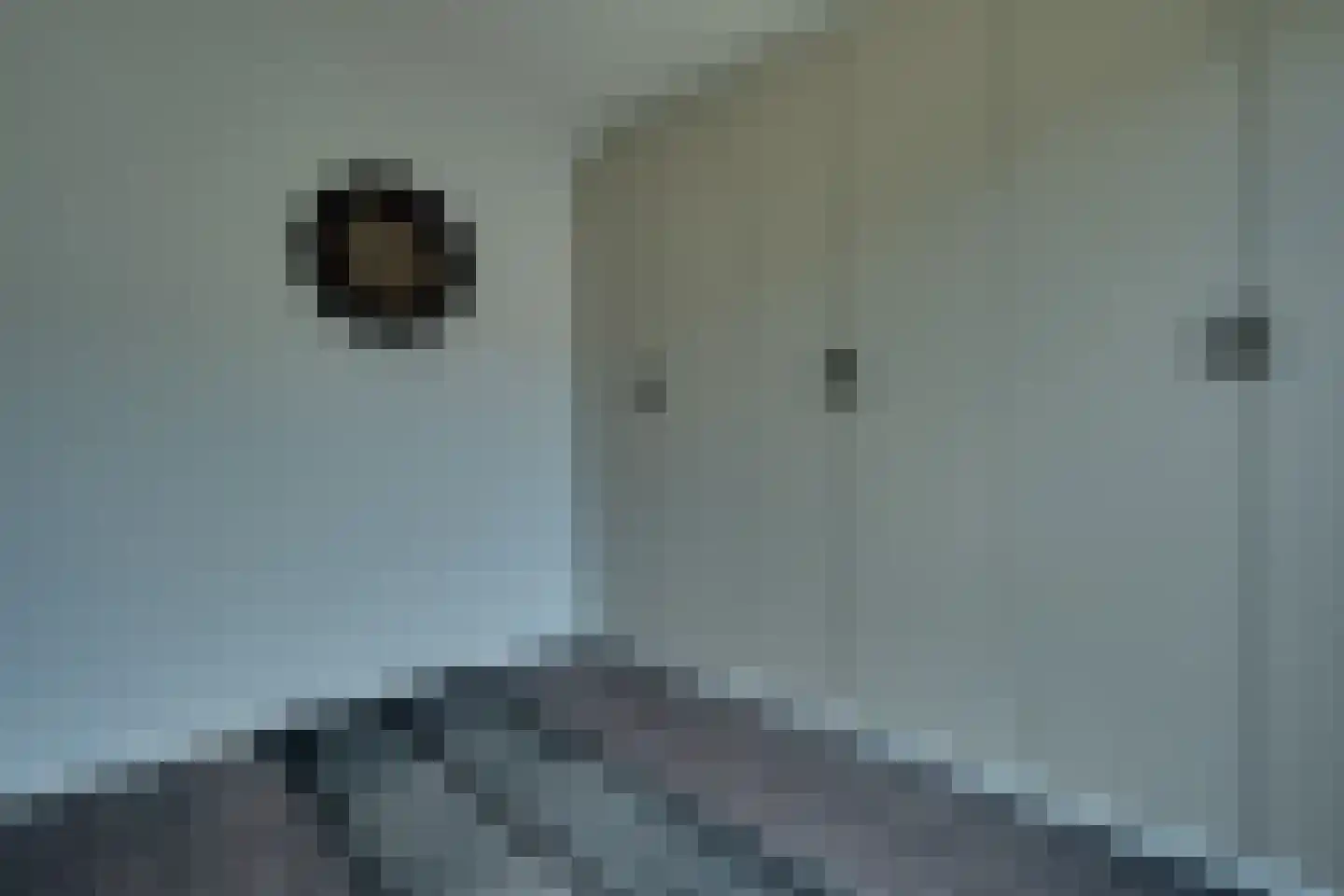 Anne Vondelingstraat 1 K Appelscha thumbnail 34