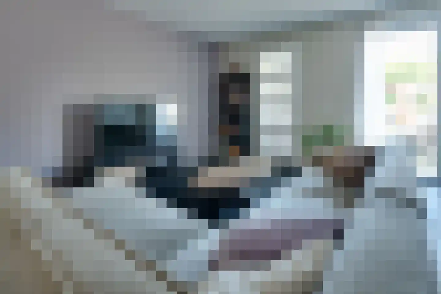 Anne Vondelingstraat 1 K Appelscha thumbnail 7