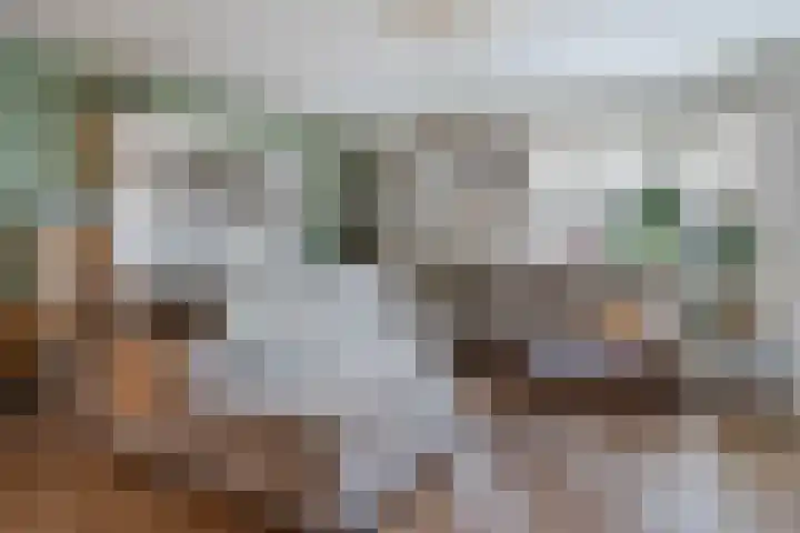 Anne Vondelingstraat 84 Appelscha thumbnail 12