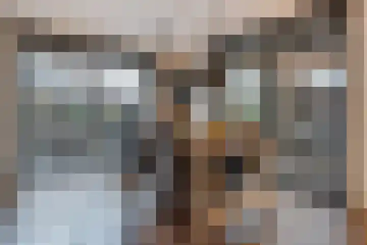 Anne Vondelingstraat 84 Appelscha thumbnail 21