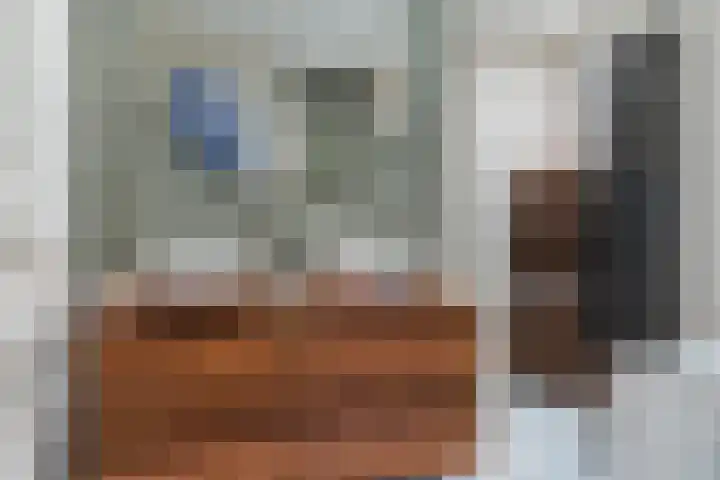 Anne Vondelingstraat 84 Appelscha thumbnail 29
