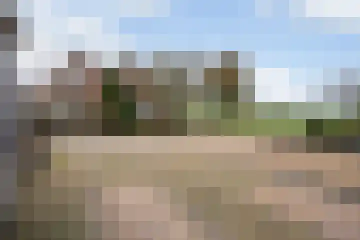 Anne Vondelingstraat 84 Appelscha thumbnail 36