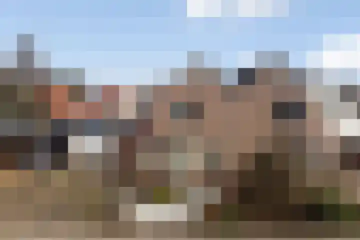 Anne Vondelingstraat 84 Appelscha thumbnail 40