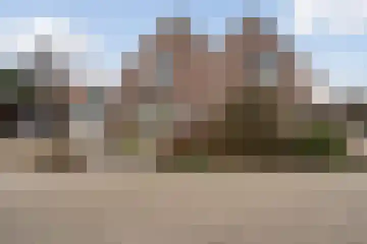 Anne Vondelingstraat 84 Appelscha thumbnail 41