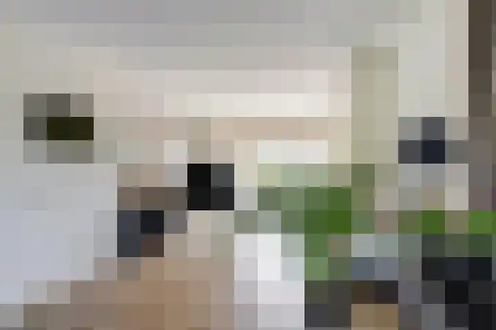 Anne Westerhuisstrjitte 3 Workum thumbnail 10