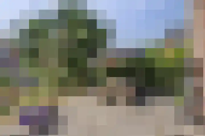 Anne Westerhuisstrjitte 3 Workum thumbnail 27