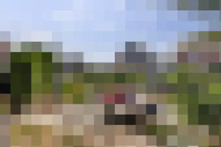 Anne Westerhuisstrjitte 3 Workum thumbnail 28