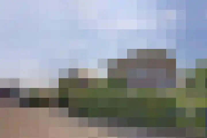 Anne Westerhuisstrjitte 3 Workum thumbnail 29