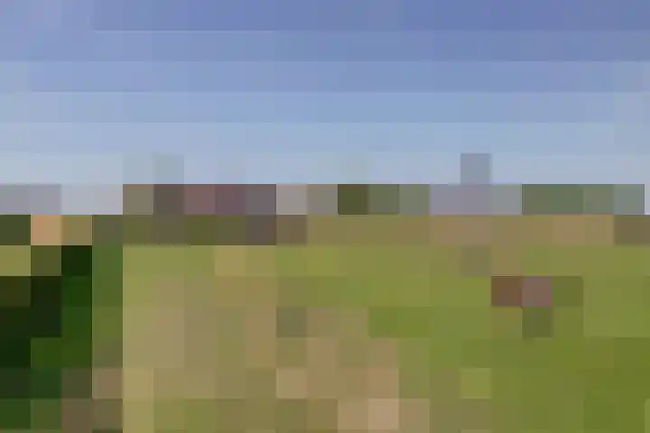 Anne Westerhuisstrjitte 3 Workum thumbnail 30