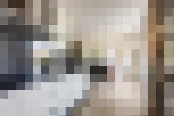 Anne Westerhuisstrjitte 3 Workum thumbnail 9