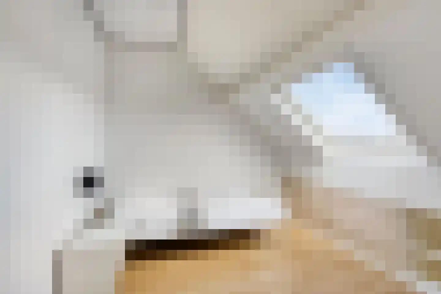 Annecyhof 25 Eindhoven thumbnail 30