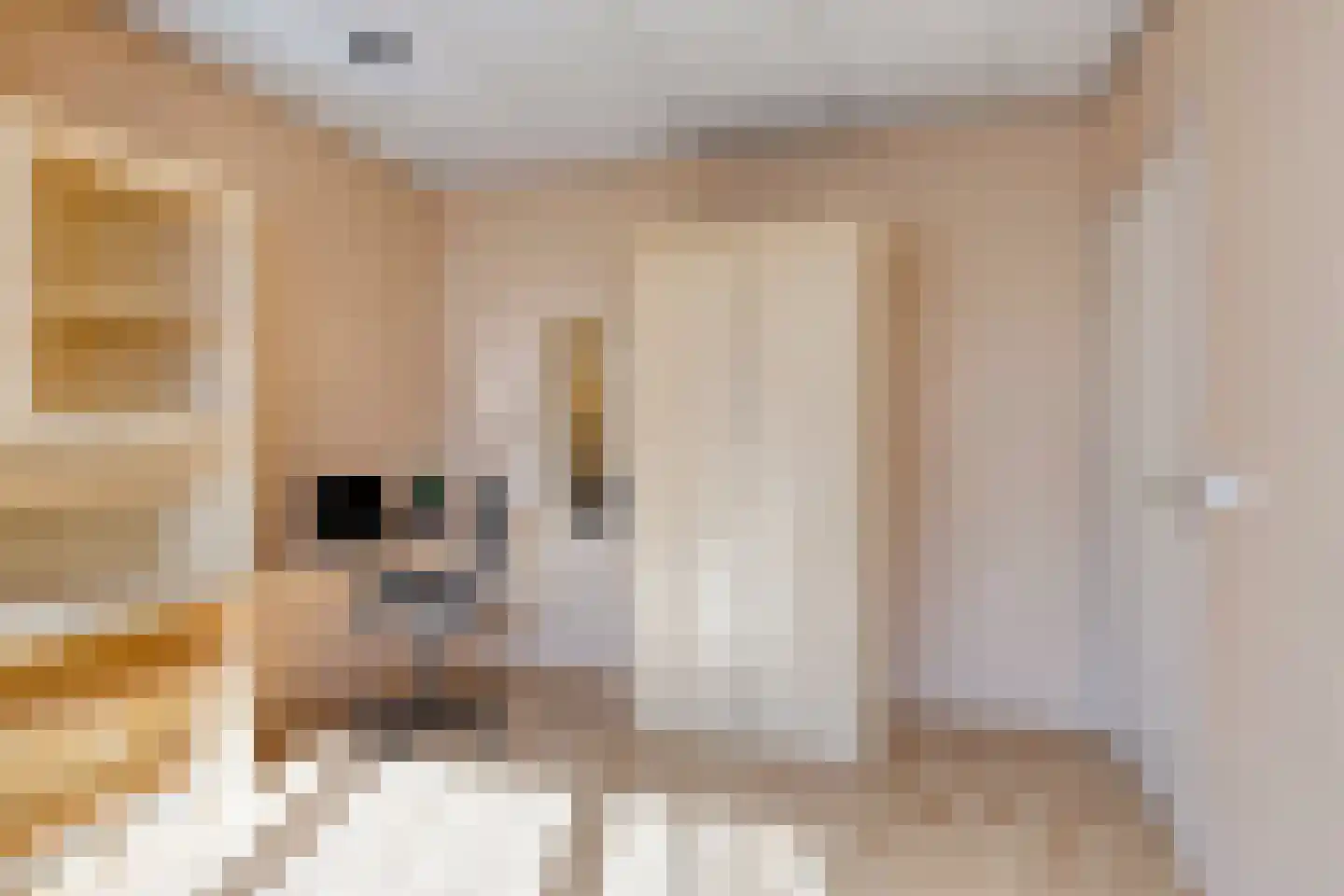 Annecyhof 25 Eindhoven thumbnail 33