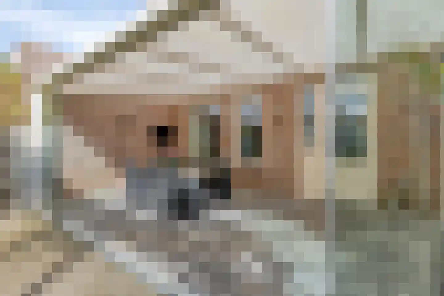 Annecyhof 25 Eindhoven thumbnail 36