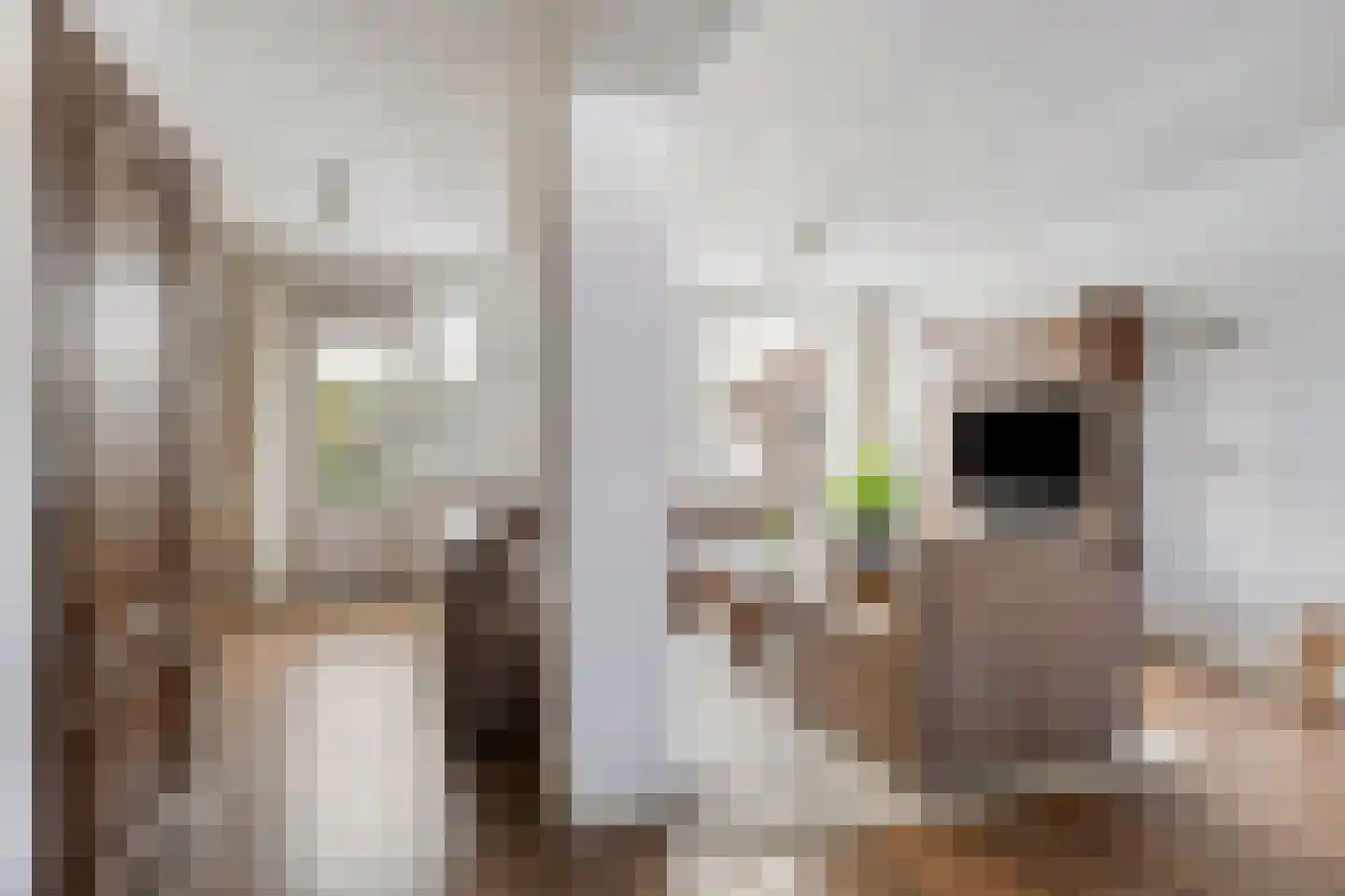 Annecyhof 25 Eindhoven thumbnail 9