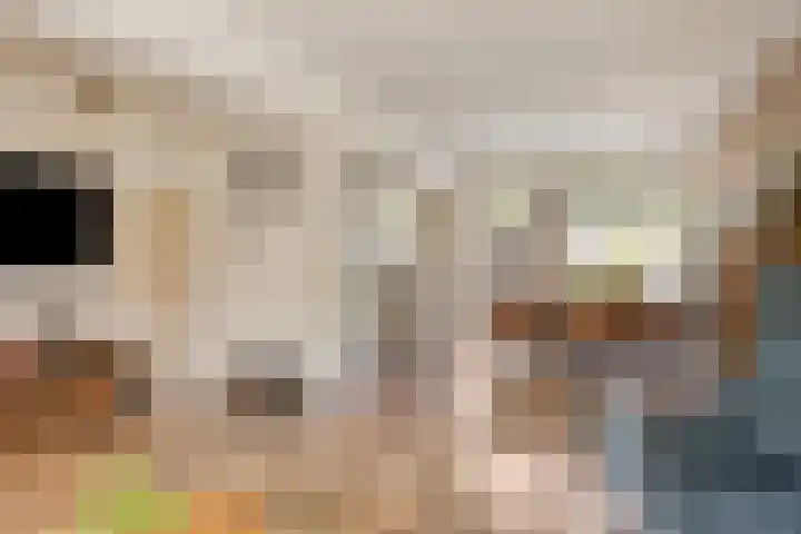 Annecyhof 7 Eindhoven thumbnail 10