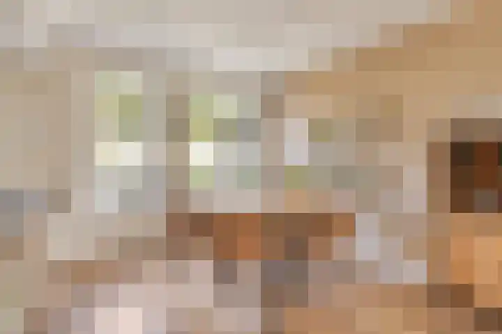 Annecyhof 7 Eindhoven thumbnail 11