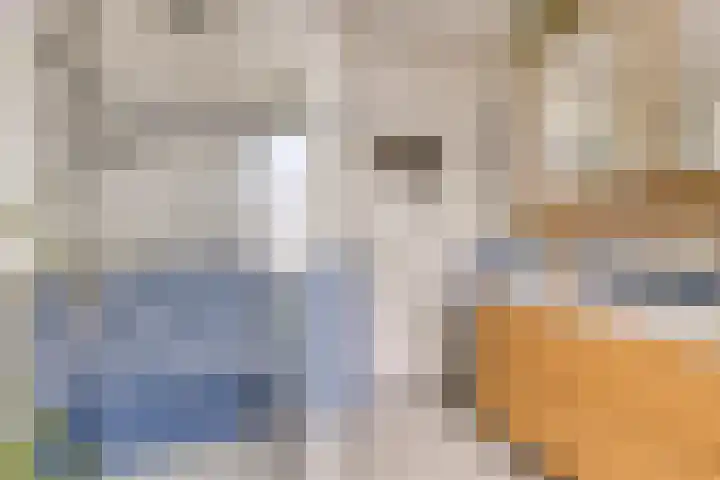Annecyhof 7 Eindhoven thumbnail 19