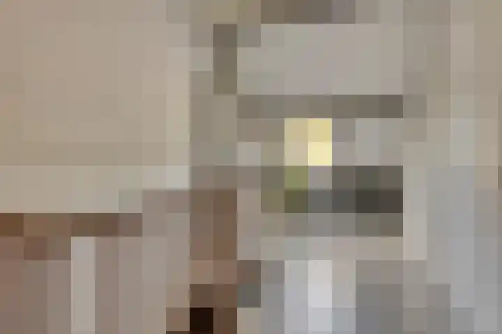 Annecyhof 7 Eindhoven thumbnail 22