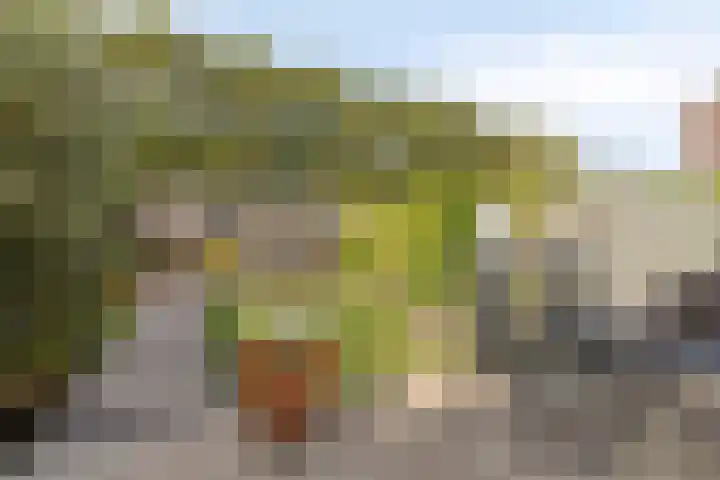 Annecyhof 7 Eindhoven thumbnail 25