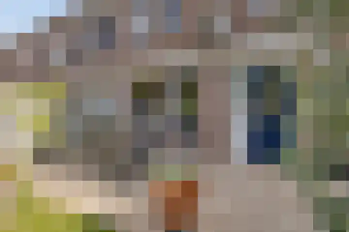 Annecyhof 7 Eindhoven thumbnail 26