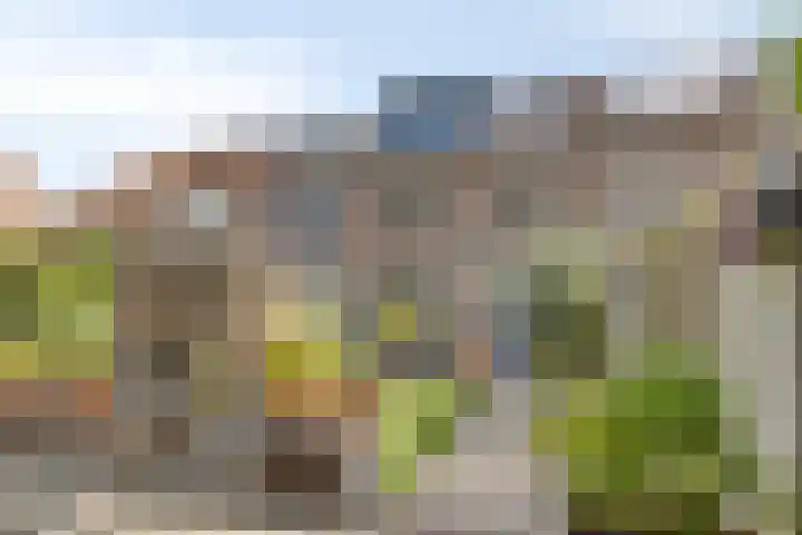 Annecyhof 7 Eindhoven thumbnail 28
