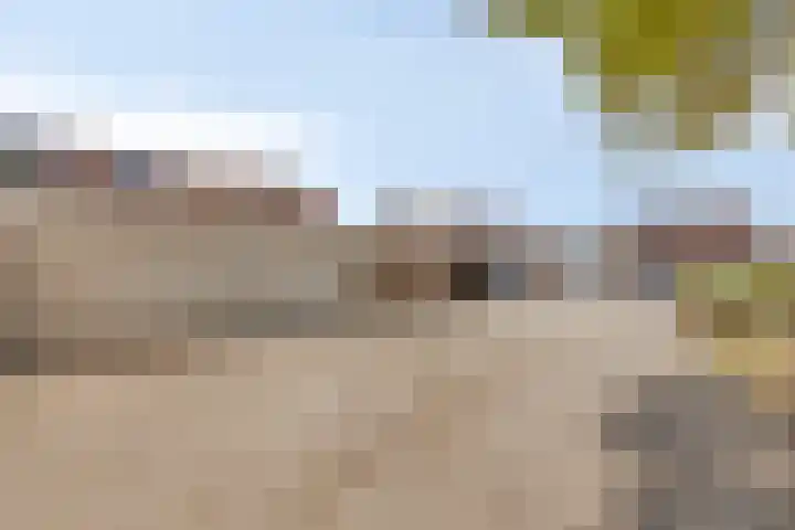 Annecyhof 7 Eindhoven thumbnail 31