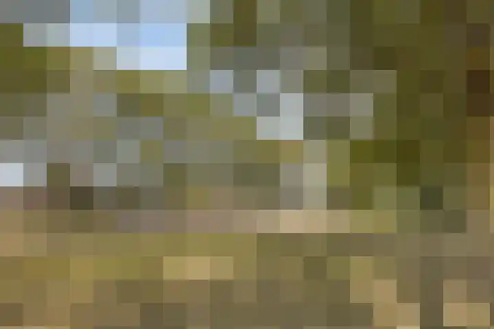 Annecyhof 7 Eindhoven thumbnail 32