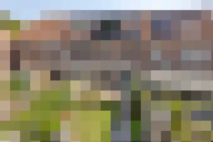 Annecyhof 7 Eindhoven thumbnail 36