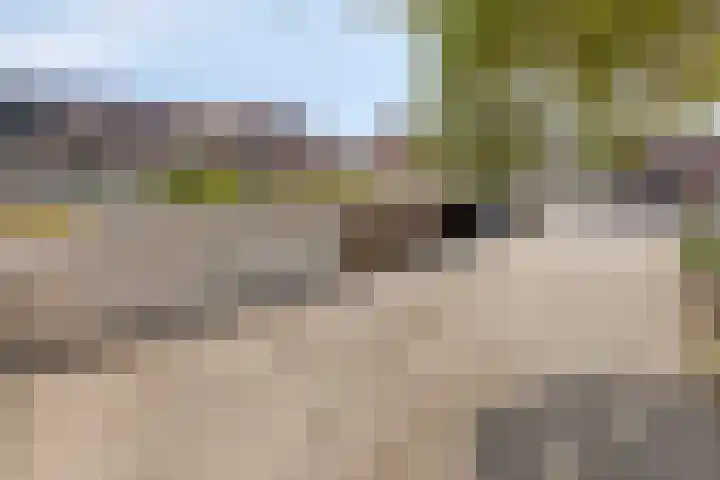 Annecyhof 7 Eindhoven thumbnail 37