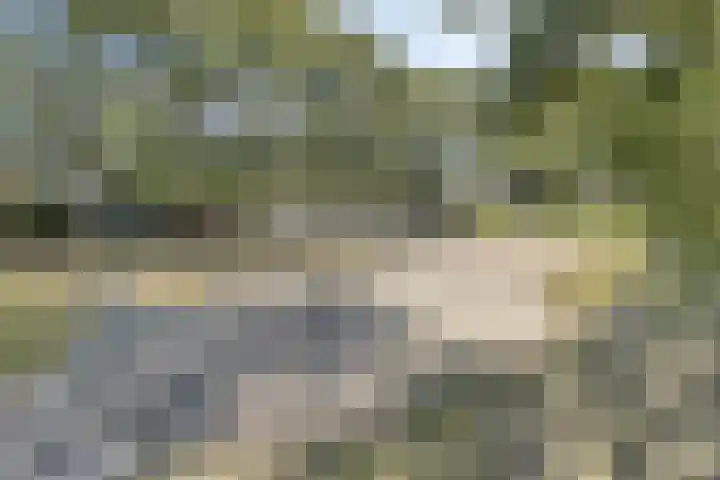 Annecyhof 7 Eindhoven thumbnail 38