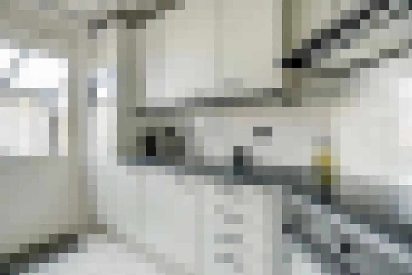 Annecyhof 8 Eindhoven thumbnail 12
