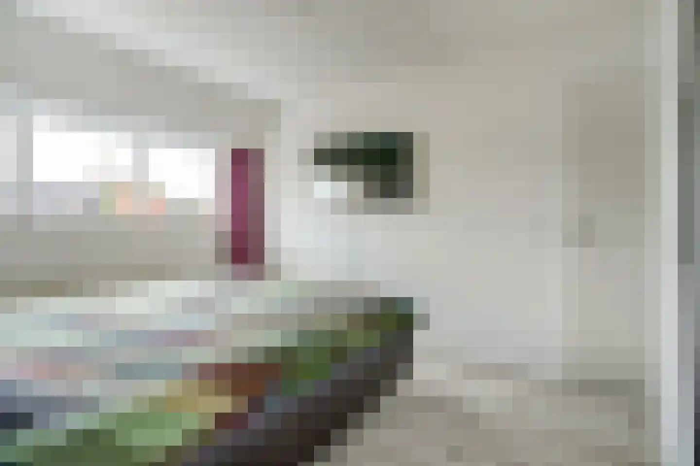 Annecyhof 8 Eindhoven thumbnail 17