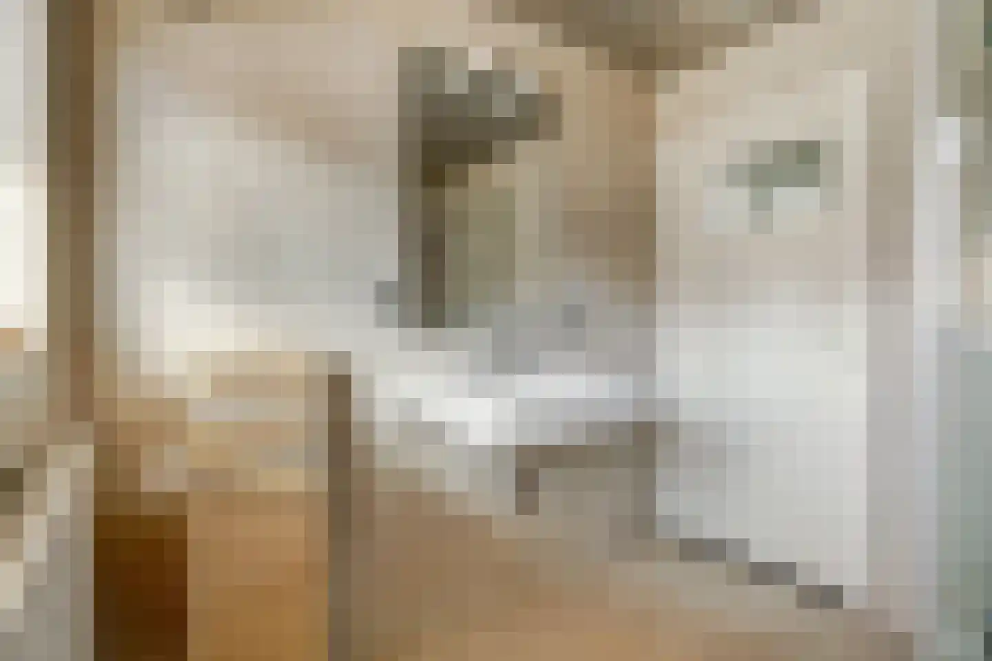 Annecyhof 8 Eindhoven thumbnail 24