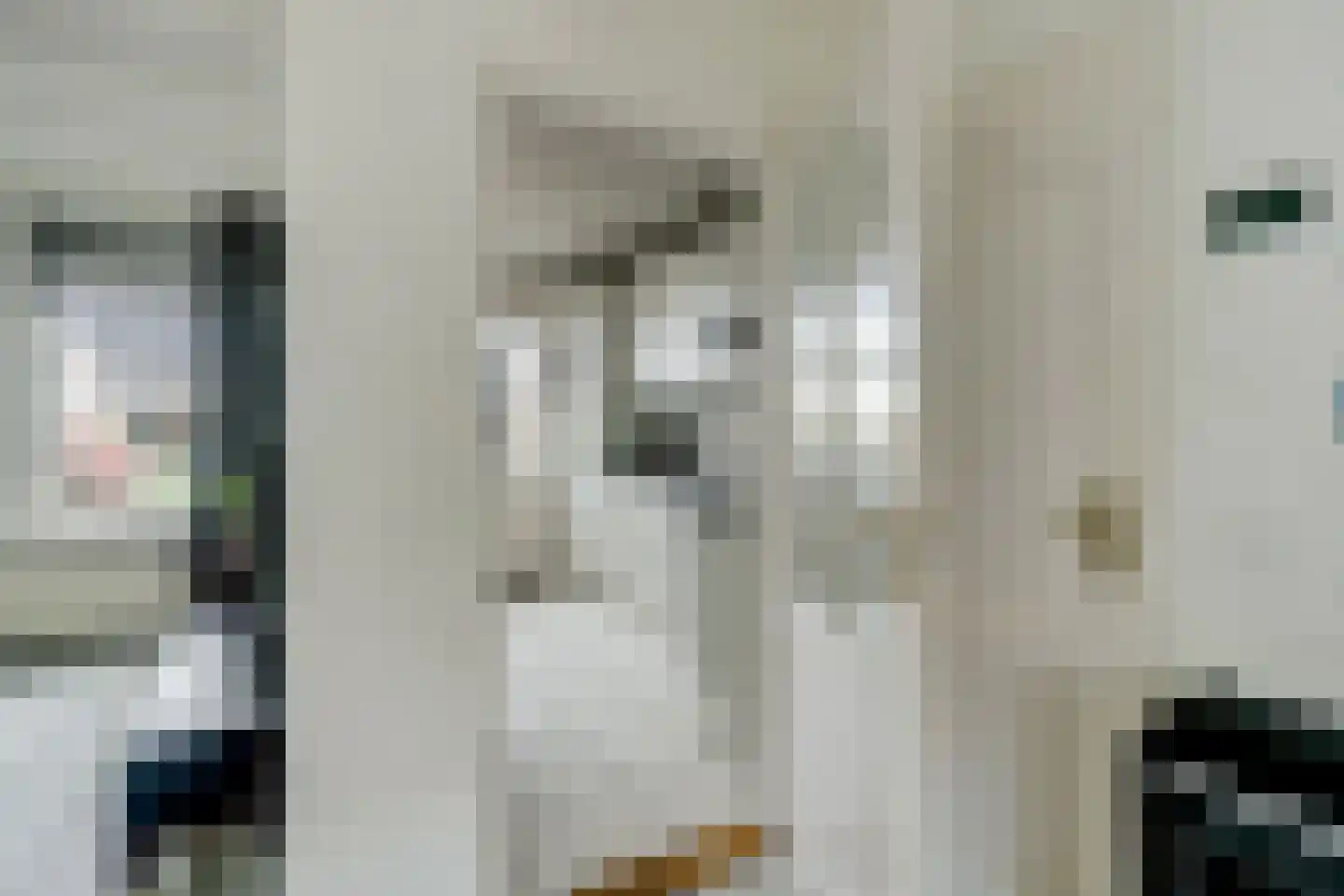 Annecyhof 8 Eindhoven thumbnail 9