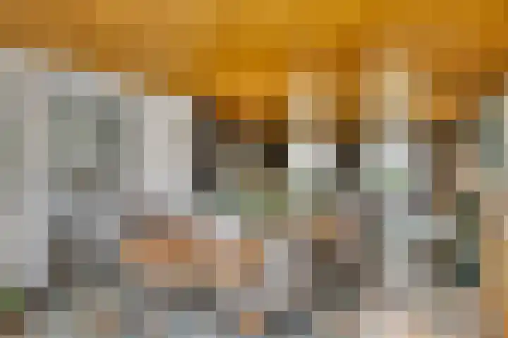 Annekeswei 6 Klein Zundert thumbnail 17
