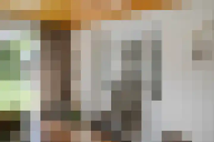 Annekeswei 6 Klein Zundert thumbnail 19