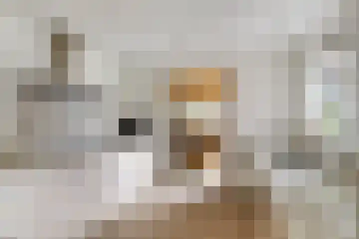 Annekeswei 6 Klein Zundert thumbnail 21