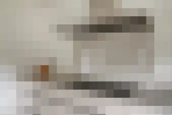 Annekeswei 6 Klein Zundert thumbnail 23