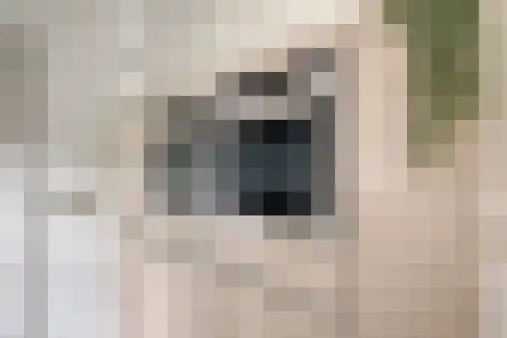 Annekeswei 6 Klein Zundert thumbnail 24